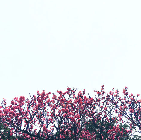 鹿児島睦の図案展｜造形展