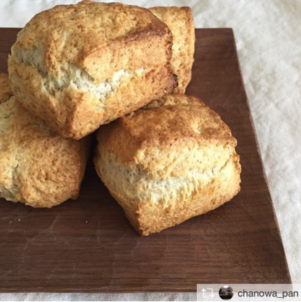 くらすことギャラリー｜種と野菜とくらすこと