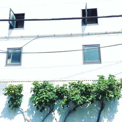 先生から先生への授業