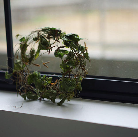 yuka takayama atelier OPEN