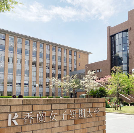 ハナミズキの学校