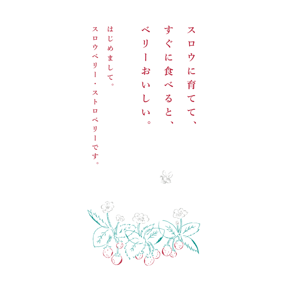 slowberry strawberry｜ネーミング
