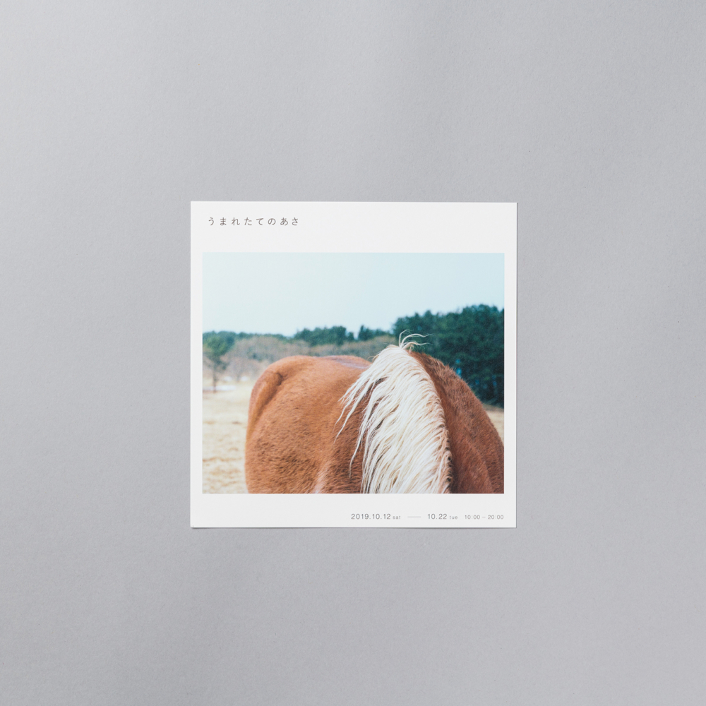 吉森慎之介 個展DM